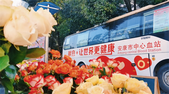 安康這三兄妹，熱血！