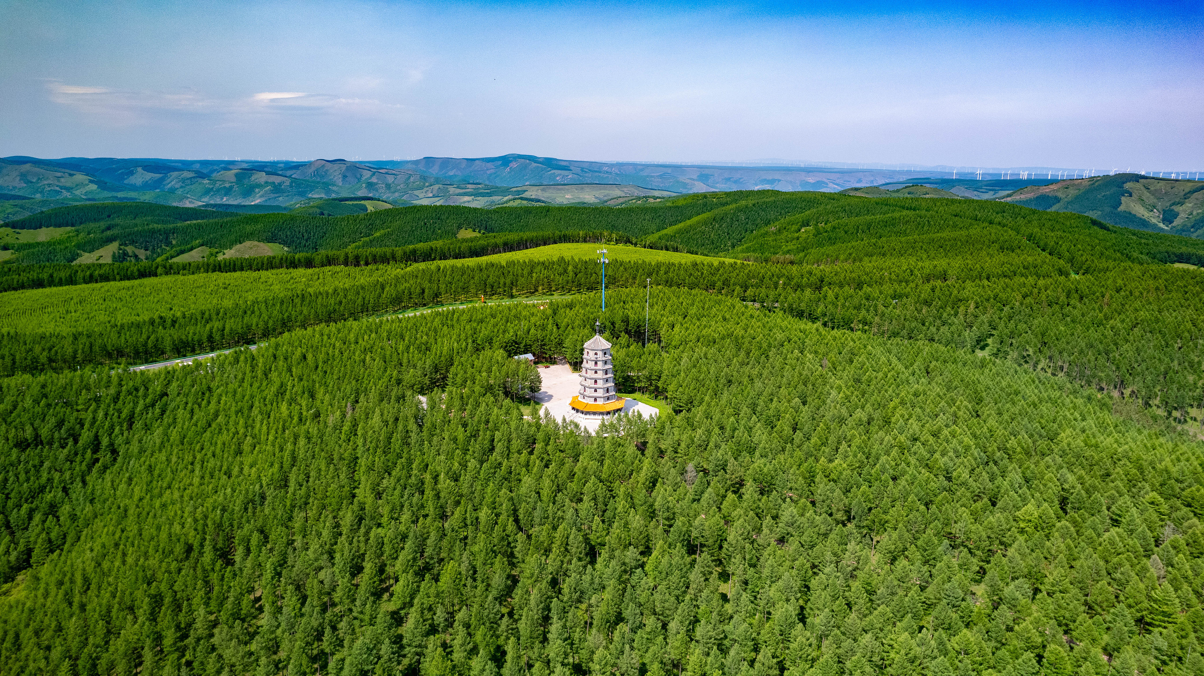 2025年6月11日，河北承德，塞罕壩林海浩渺。